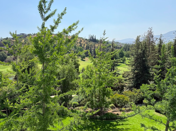 Exclusivo Departamento En Valle Escondido